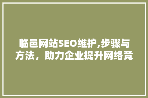 临邑网站SEO维护,步骤与方法，助力企业提升网络竞争力