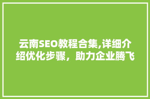 云南SEO教程合集,详细介绍优化步骤，助力企业腾飞