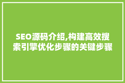 SEO源码介绍,构建高效搜索引擎优化步骤的关键步骤