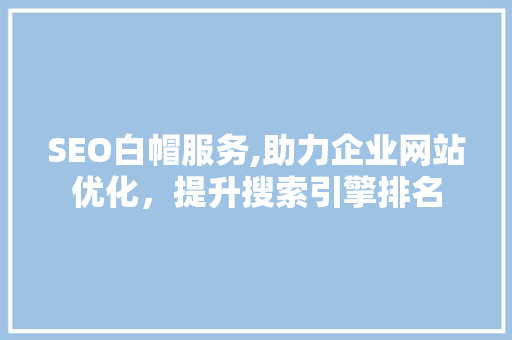 SEO白帽服务,助力企业网站优化，提升搜索引擎排名