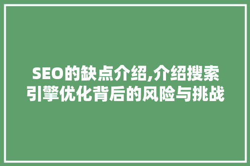 SEO的缺点介绍,介绍搜索引擎优化背后的风险与挑战