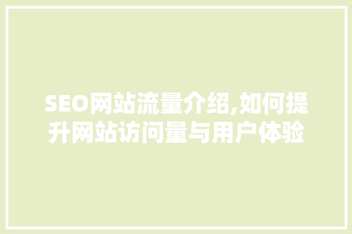 SEO网站流量介绍,如何提升网站访问量与用户体验