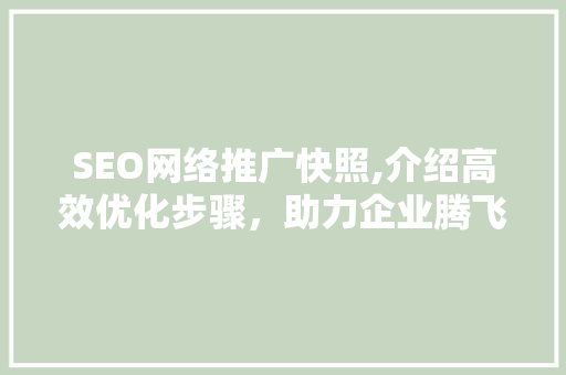 SEO网络推广快照,介绍高效优化步骤，助力企业腾飞