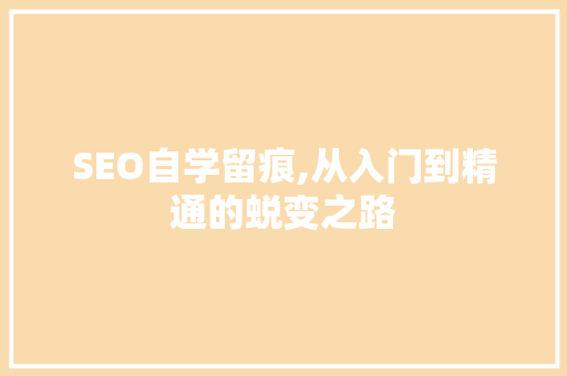 SEO自学留痕,从入门到精通的蜕变之路