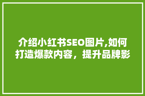 介绍小红书SEO图片,如何打造爆款内容，提升品牌影响力