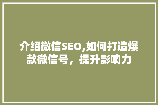 介绍微信SEO,如何打造爆款微信号，提升影响力