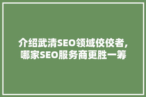 介绍武清SEO领域佼佼者,哪家SEO服务商更胜一筹