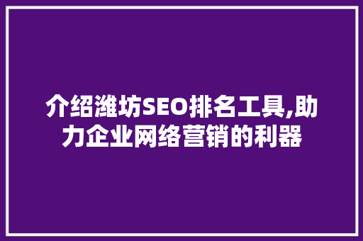 介绍潍坊SEO排名工具,助力企业网络营销的利器
