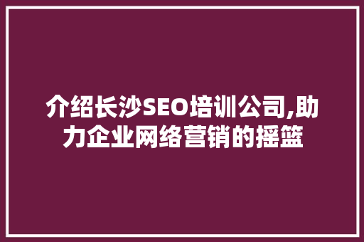 介绍长沙SEO培训公司,助力企业网络营销的摇篮