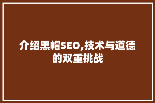 介绍黑帽SEO,技术与道德的双重挑战