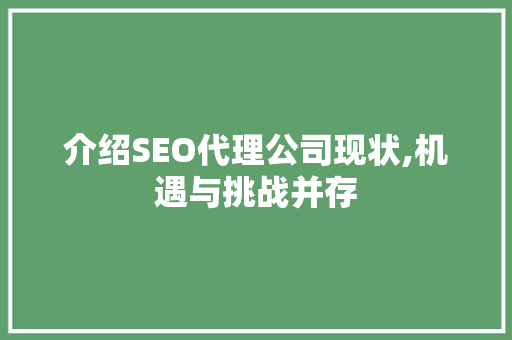 介绍SEO代理公司现状,机遇与挑战并存
