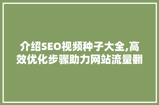 介绍SEO视频种子大全,高效优化步骤助力网站流量翻倍