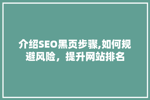 介绍SEO黑页步骤,如何规避风险，提升网站排名