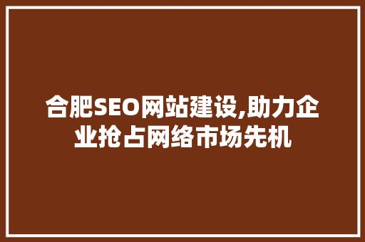 合肥SEO网站建设,助力企业抢占网络市场先机