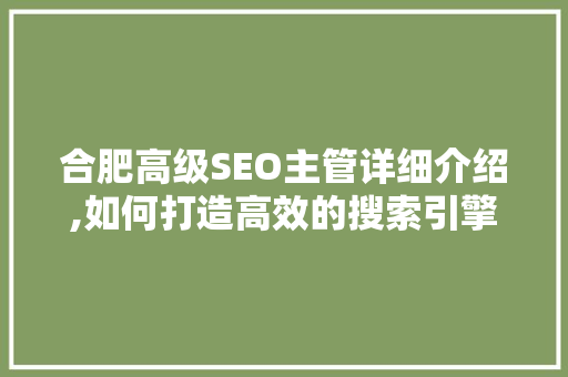 合肥高级SEO主管详细介绍,如何打造高效的搜索引擎优化步骤