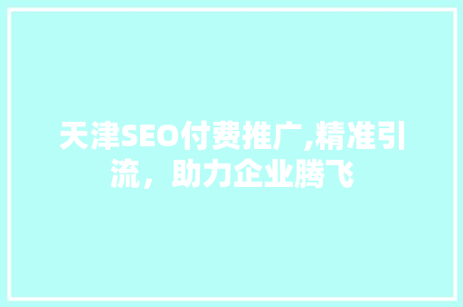天津SEO付费推广,精准引流，助力企业腾飞