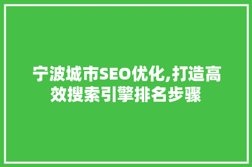 宁波城市SEO优化,打造高效搜索引擎排名步骤