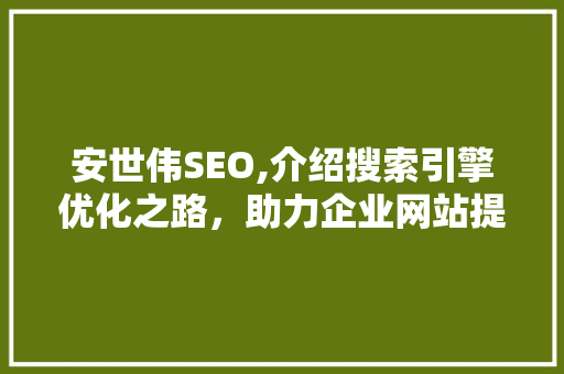 安世伟SEO,介绍搜索引擎优化之路，助力企业网站提升排名