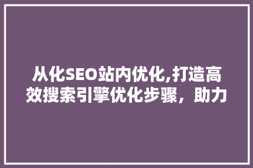 从化SEO站内优化,打造高效搜索引擎优化步骤，助力网站脱颖而出