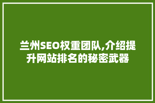 兰州SEO权重团队,介绍提升网站排名的秘密武器