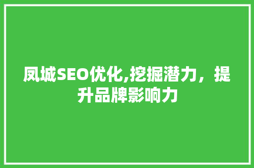 凤城SEO优化,挖掘潜力，提升品牌影响力