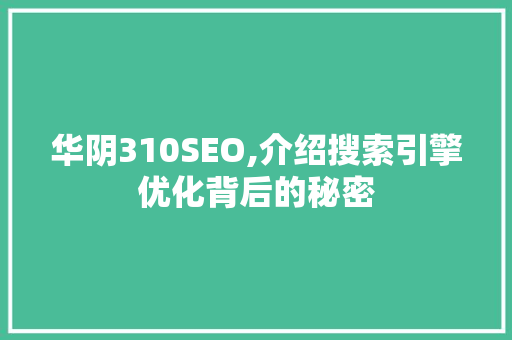 华阴310SEO,介绍搜索引擎优化背后的秘密