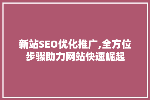 新站SEO优化推广,全方位步骤助力网站快速崛起