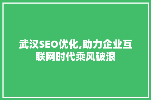 武汉SEO优化,助力企业互联网时代乘风破浪