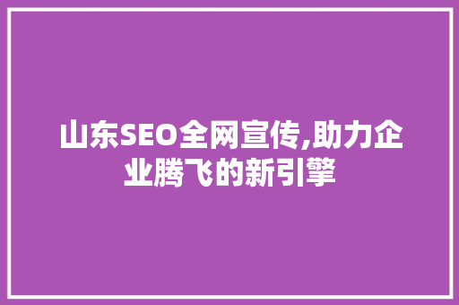 山东SEO全网宣传,助力企业腾飞的新引擎