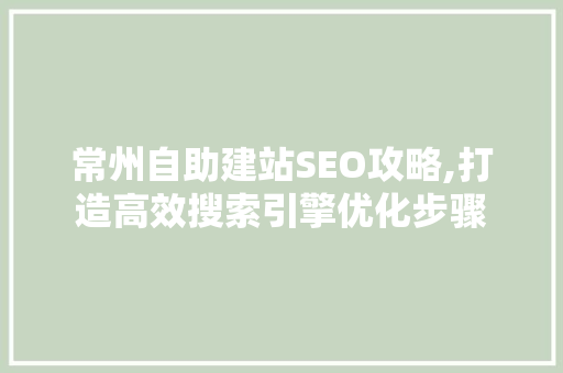 常州自助建站SEO攻略,打造高效搜索引擎优化步骤