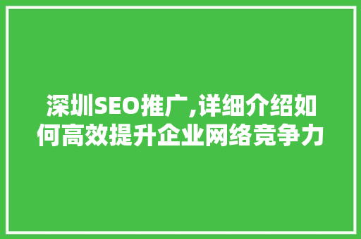 深圳SEO推广,详细介绍如何高效提升企业网络竞争力