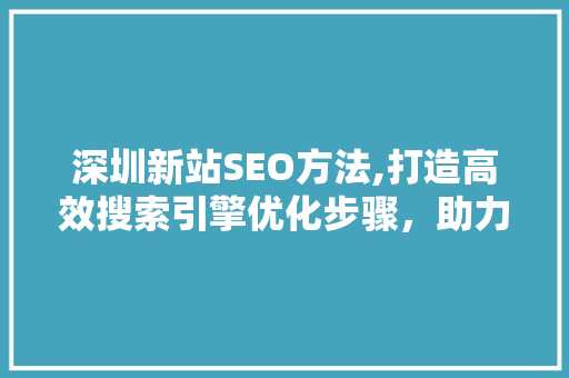 深圳新站SEO方法,打造高效搜索引擎优化步骤，助力企业腾飞