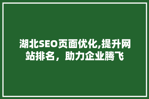 湖北SEO页面优化,提升网站排名，助力企业腾飞