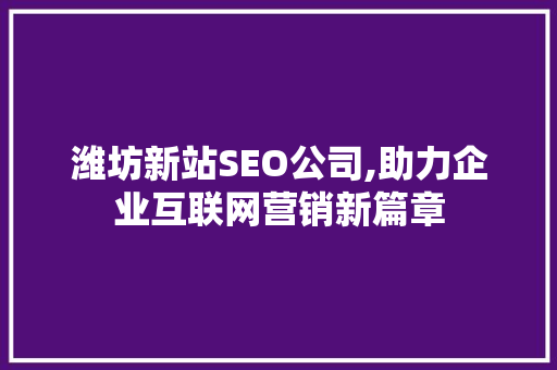 潍坊新站SEO公司,助力企业互联网营销新篇章