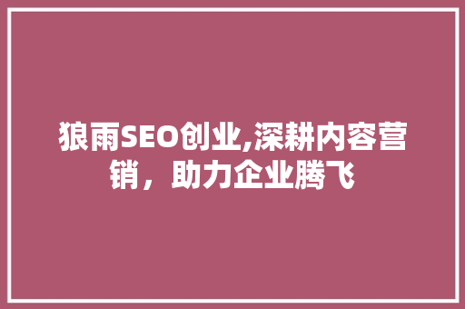 狼雨SEO创业,深耕内容营销，助力企业腾飞