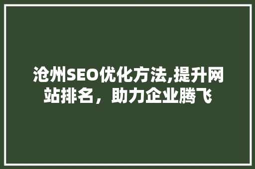 沧州SEO优化方法,提升网站排名，助力企业腾飞