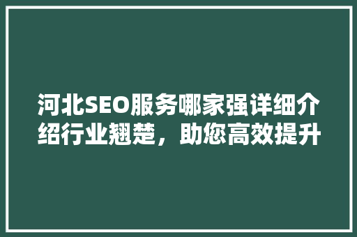 河北SEO服务哪家强详细介绍行业翘楚，助您高效提升网站排名