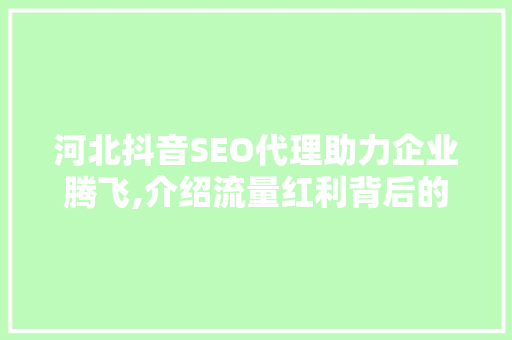 河北抖音SEO代理助力企业腾飞,介绍流量红利背后的秘密