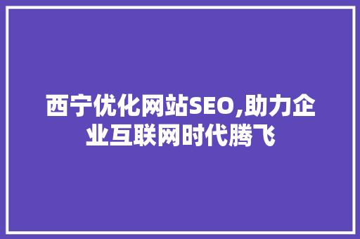 西宁优化网站SEO,助力企业互联网时代腾飞