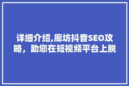 详细介绍,廊坊抖音SEO攻略，助您在短视频平台上脱颖而出