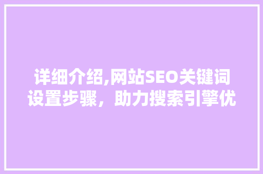 详细介绍,网站SEO关键词设置步骤，助力搜索引擎优化