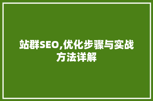 站群SEO,优化步骤与实战方法详解