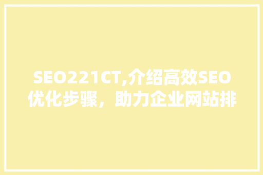 SEO221CT,介绍高效SEO优化步骤，助力企业网站排名提升