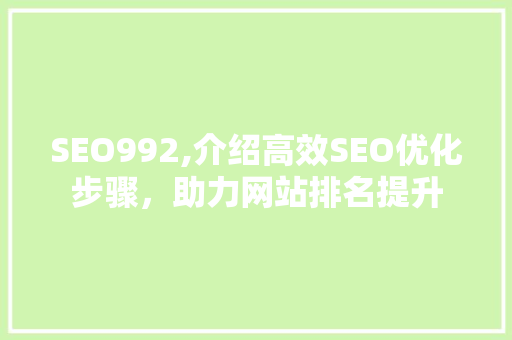 SEO992,介绍高效SEO优化步骤，助力网站排名提升