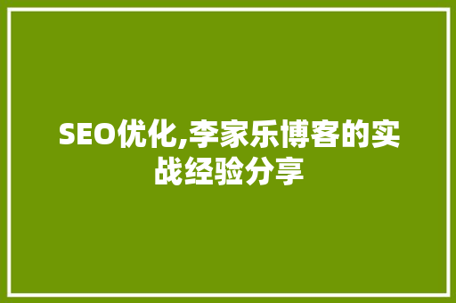 SEO优化,李家乐博客的实战经验分享