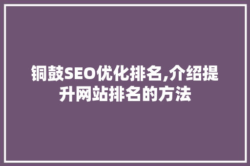 铜鼓SEO优化排名,介绍提升网站排名的方法