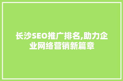 长沙SEO推广排名,助力企业网络营销新篇章