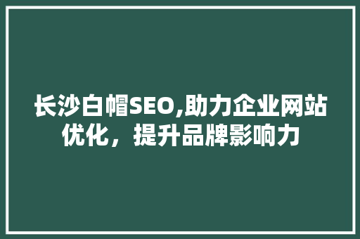 长沙白帽SEO,助力企业网站优化，提升品牌影响力