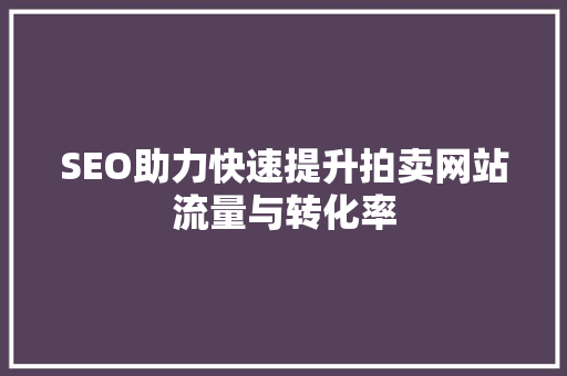SEO助力快速提升拍卖网站流量与转化率