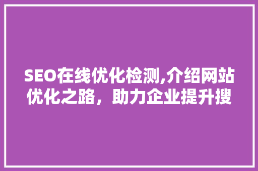 SEO在线优化检测,介绍网站优化之路，助力企业提升搜索引擎排名